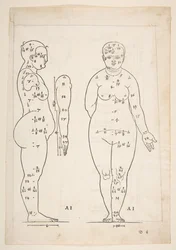 Illustration aus Dürers Vier Bücher von menschlicher Proportion, Nürnberg, 1528