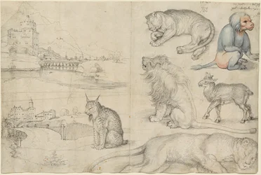 Skizzen von Tieren und Landschaften, 1521