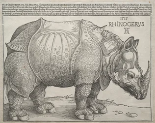 Das Nashorn