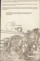 Der Triumphwagen von Maximilian I. (Der große Triumphwagen) [Tafel 3 von 8]