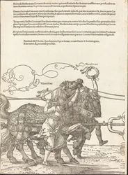 Der Triumphwagen von Maximilian I. (Der große Triumphwagen) [Platte 5 von 8]