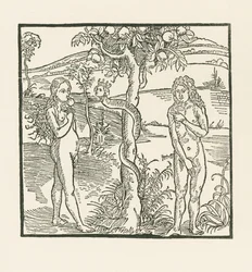 Der Fall. Illustration zu "Der Ritter von Turn", ca. 1493-93