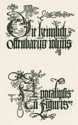 Titel der deutschen Ausgabe von 1498: Die heimlich offenbarung iohannis