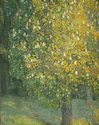 Blühender Kastanienbaum