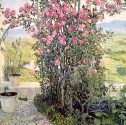 Das Tal in Umbrien, 1910er Jahre