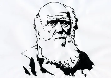 Porträt von Charles Darwin - Porträt des englischen Naturforschers Charles Darwin (1809-1882).