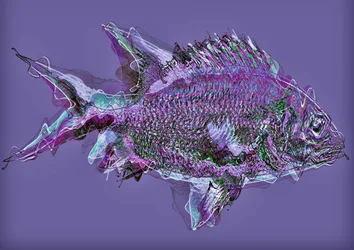 Fisch im Wasser, 2020