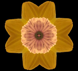 Symmetrie