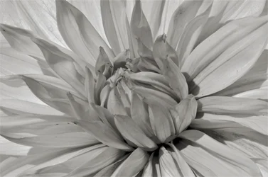 Ohne Titel