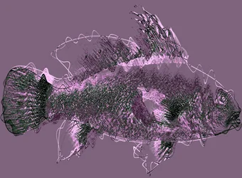 Fisch III, 2020