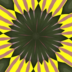 Sonnenblume
