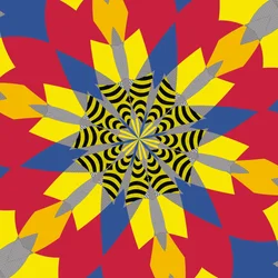 Symmetrie #6