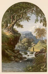 Illustration für Bryants 
