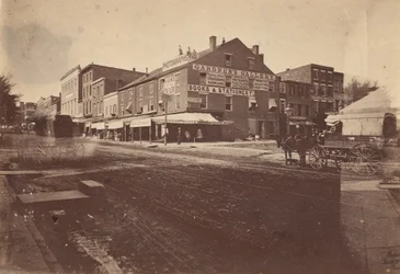 Gardner