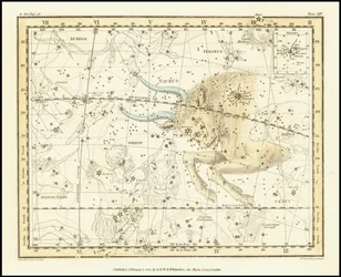 1822 - Alexander Jamieson - Stier