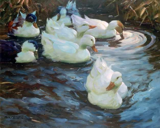 Enten auf einem Teich, um 1884-1932
