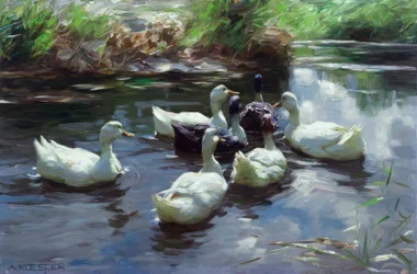 Enten am Teich