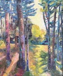 Sonniger Waldweg