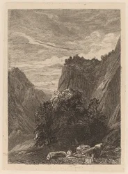 Bäume am Fuß einer Klippe