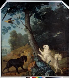 Merluzine und Cocoq, die Hunde Ludwigs XIV. (1638-1715). Gemälde (1661-1743)