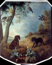 Nutmeg und Hermine, die Hunde von Ludwig XIV. (1638-1715)