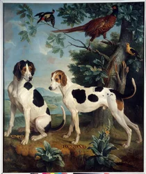 Pompée und Florissant, die Hunde Ludwigs XIV. (1638-1715)