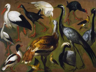 Studie von Vögeln, von Alexandre-Francois Desportes, Frankreich