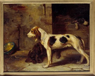 Hunde Brifauts