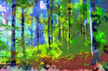 Morgen, Wald, 2020