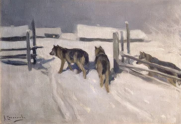 Wölfe. Winternacht