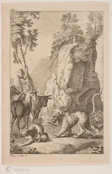 Der junge Löwe und der Affe