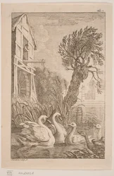 Die Gans und der Schwan