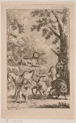 Der Panther, das Pferd und andere Tiere