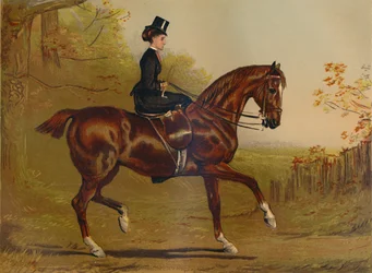 Auf dem Weg zur Deckung - Ein Porträt