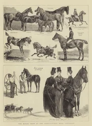 Die Pferdeschau in der Landwirtschaftshalle, Islington