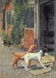 Zögern