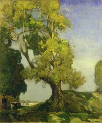 Sommerlandschaft