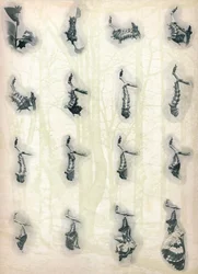 Die Entwicklung einer Raupe, um 1910, 1911