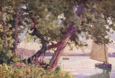 Fritton Lake, Suffolk, ein Sommermorgen