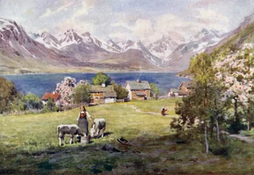 Romsdalfjord, von Naes