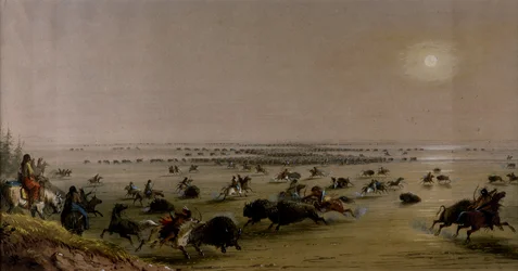 Eine "Umzingelung" von Büffeln durch Indianer
