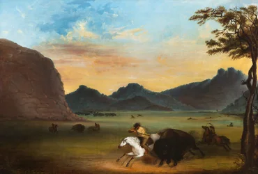 Büffeljagd
