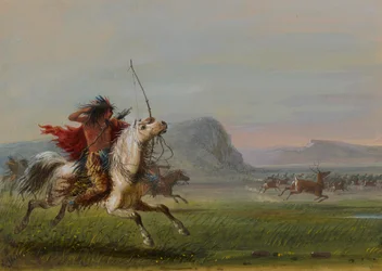 Wapiti-Jagd