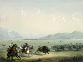 Laufender Büffel