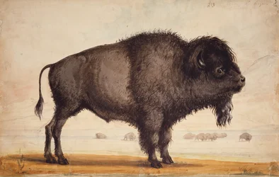 Den Wind wittern, ca. 1837