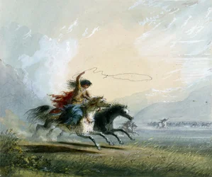 Shoshonin - ein Pferd fangend