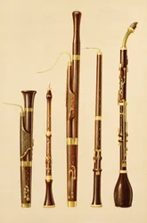 Ein Dulzian, eine Oboe, ein Fagott, eine Oboe da caccia und ein Bassetthorn, aus 