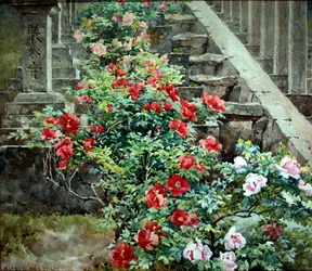 Baumpfingstrosen bei Hase Dera - Stufen zum Kwannon-Tempel, Japan