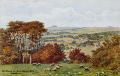 Die Downs mit Chantonbury Ring, bei Worthing