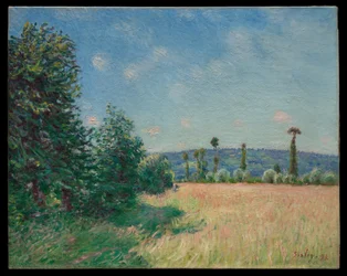 Die Wiesen von Sahurs in der Morgensonne